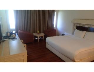 Hotel Woodstocks Pahalgam - 1