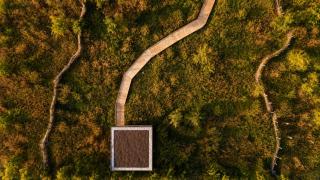 Schlössla - Stelzen-Baumhaus im WaldMehr - 0