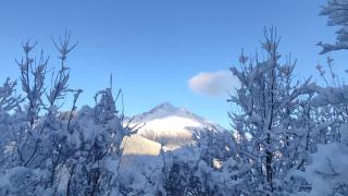 Joli appartement au calme dans les Pyrénées - 4
