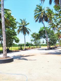 Water side villa - 3