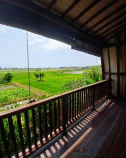 Ashoka Bhumi Lovina Villa - 7