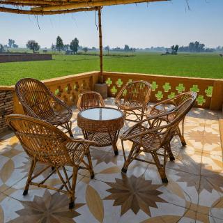 Shahi Chubara - 2