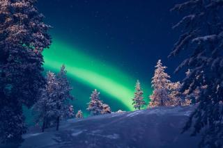 Warm and cozy house near Arctic Circle, Rovaniemi - 8
