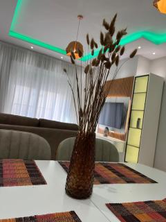 LIV Apartment Tirana - 4