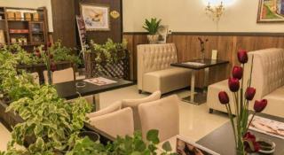 Anshan Camilla Business Hotel - 6
