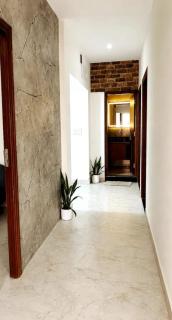 Royal Fern - 4