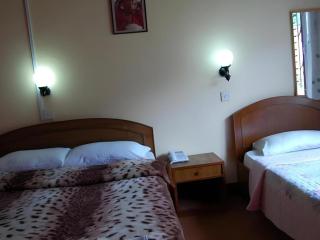 New Dakshinkali Village Resort - 1