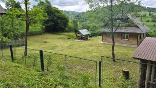 Cottage Svitanok - Lopushnoye - 4