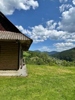 Cottage Svitanok - Lopushnoye - 3