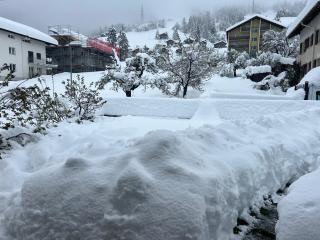 Haus Panorama - 2