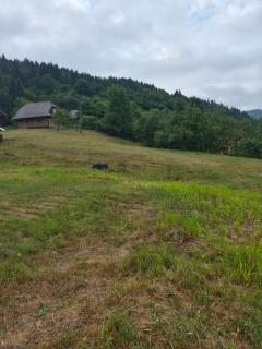 Cottage Svitanok - Lopushnoye - 1