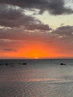 Tropical Escape On The Coral Coast - 7