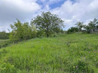 Villa Ciortea - 4