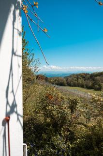 Le Cabanon des Vignes - Ma Retraite - 2