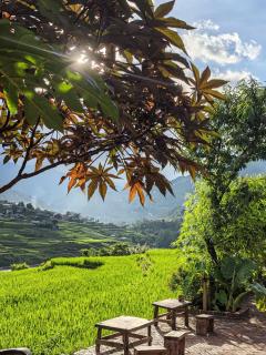 ZOZO Sapa Homestay & Trekking - Sapa - 7