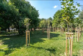 Quiet two-bed flat in a green area - 9