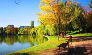 Quiet two-bed flat in a green area - 8