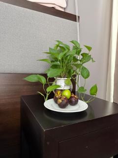 Coast & Nest Villa Da Nang - 3