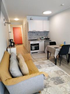 City Center Jõe 7 Apartment - 5