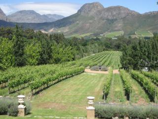 Franschhoek Rose Cottages - Franschhoek - 6