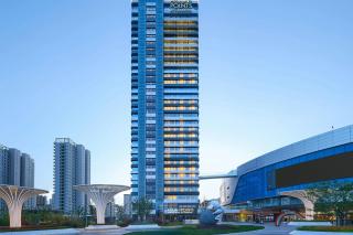 Four Points by Sheraton Rizhao Central Activities Zone - 9