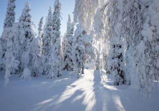 Ride & Glide Ylläs - 2