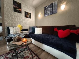 Station and Border Comfort Art and Cats Inn - Комфорт у вокзала и границы Арт и Кот - Narva - 5
