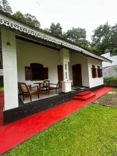 laolive home - 0
