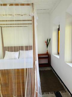 laolive home - 8