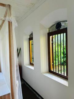 laolive home - 1