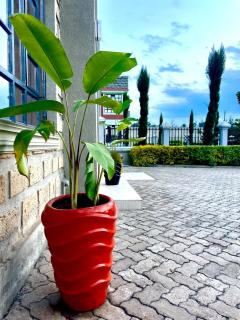 Xellent Suites- Simba Villa Naivasha - 8