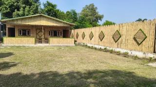TFC Garden - 1