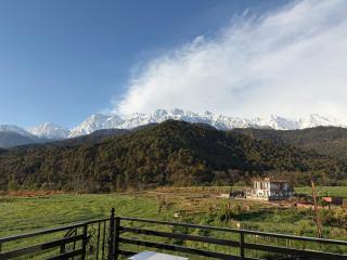 The New View - 5