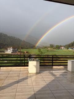 The New View - 0