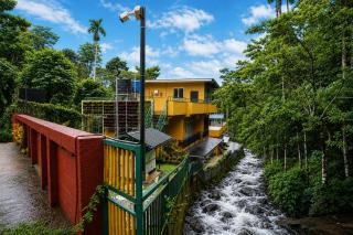 Adrivana By The Stream, Banasura, Wayanad - 9