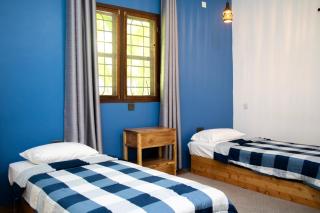 Blue Cactus Shanty - 9