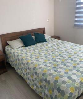 Arriendo departamento por dia - 5