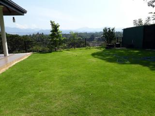 Saffron Breeze - 5