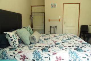 Rosy Palm Sunrise - Upington - 8