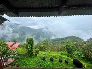 Moktan Homestay by Addapahar - 1
