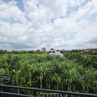 3 Bedroom Private Pool Villa in Mengwi Kapal - 6