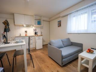 One-room apartment small but nice with parking space - 8