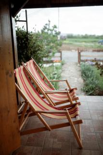 Apartman Dača Banja Ždrelo - 2