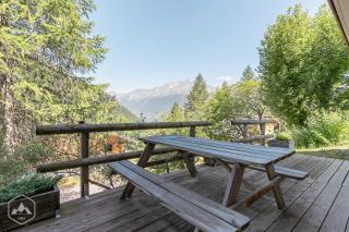 Les Chalets D'arrondaz - Magnifique appartement 4/6 personnes MAE-2929 - 3