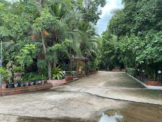 Tree and coffee resort V1 - 8