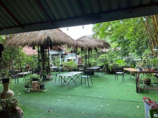 Tree and coffee resort V1 - 1