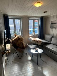 Historic house from 1830, close to the city center - 1