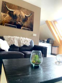 B&B Holtingerveld - 7