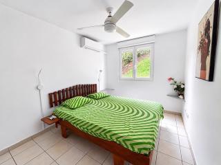 Location vacances Fun sous les gommiers - 1