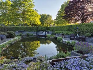 B&B Holtingerveld - 9